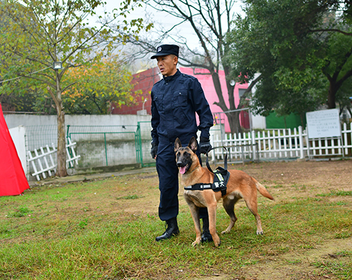 宠物犬培训基地