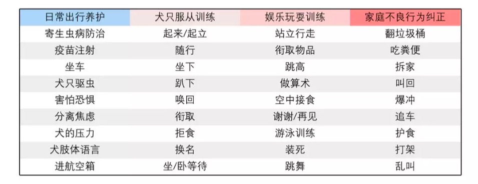 训犬培训学校 